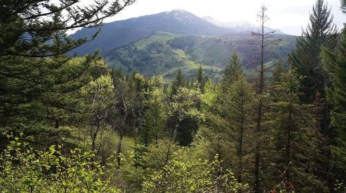 Looking over to Shell Mountain