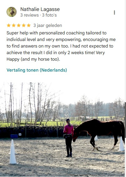 praise for hippologic rectangle movement program natalie lagrasse for hippologic clickertraining review