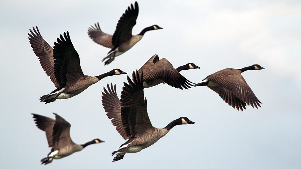 How to release books as a self-published author