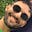 Kevin Johnson Murillo's avatar