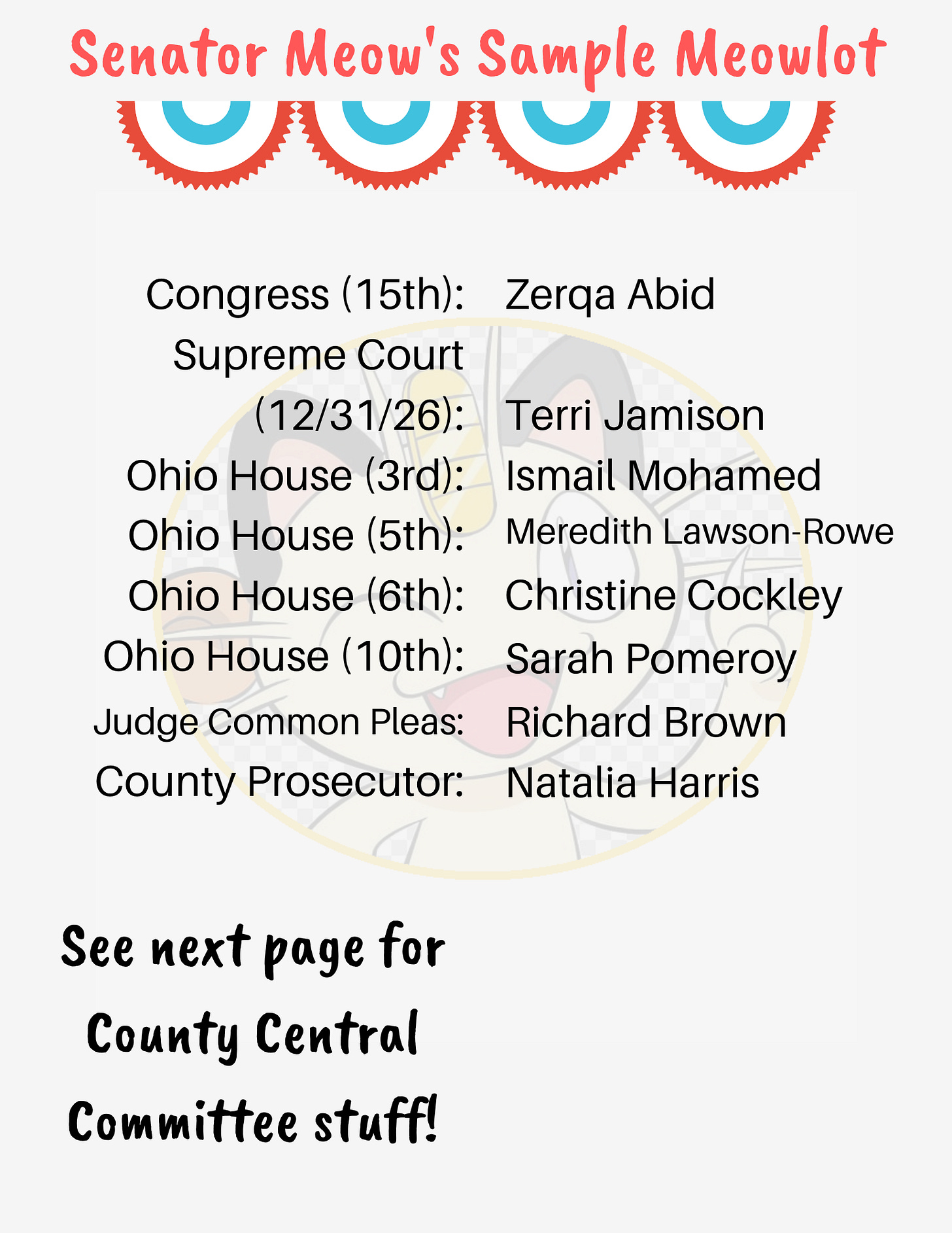 Congress (15th): Zerqa Abid - Supreme Court (12/31/26): Terri Jamison - Ohio House (3rd): Ismail Mohamed - Ohio House (5th): Meredith Lawson-Rowe - Ohio House (6th): Christine Cockley  - Ohio House (10th): Sarah Pomeroy - Judge Common Pleas: Richard Brown - County Prosecutor: Natalia Harris