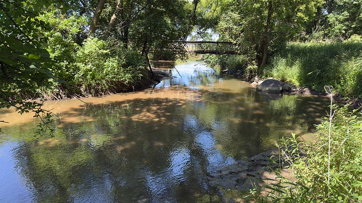 A girl wearing a blue bonnet touches the ground. Prairie is right behind her, trees line the creek’s path, and a bridge with more visitors is in the background. | The banks of Plum Creek with the bridge for visitors to enjoy.