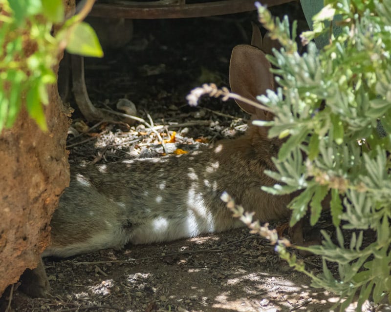 20260708-mby-3-Edit.jpg