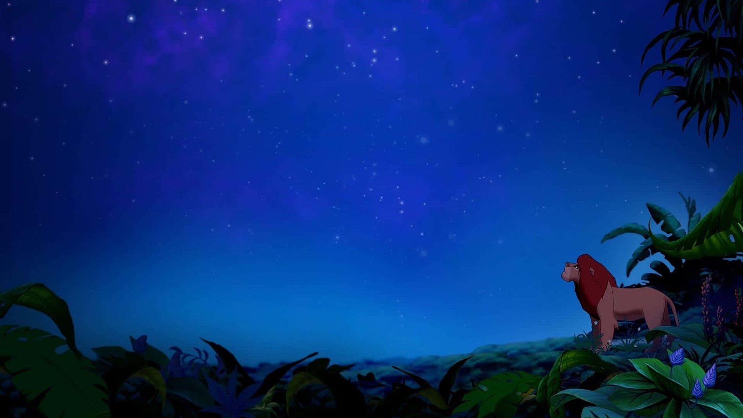Download Simba Starry Night Sky Wallpaper | Wallpapers.com
