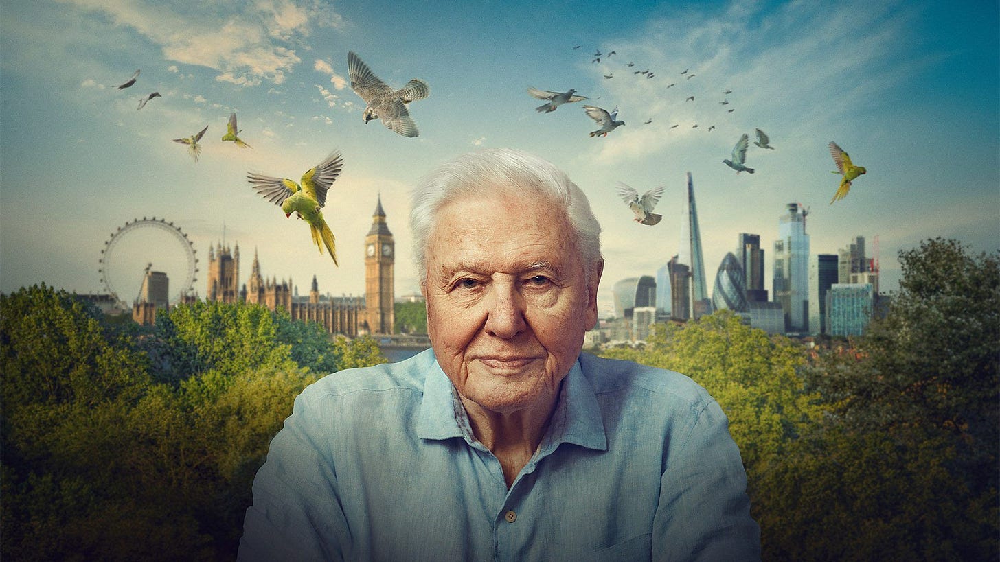 Sir David Attenborough explores the wildlife of his London hometown