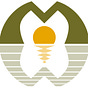 MirrorWork's avatar