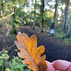 Welcoming Autumn and a September Review