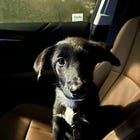 The New Boss Of You Is RUBY