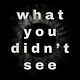 What You Didn't See