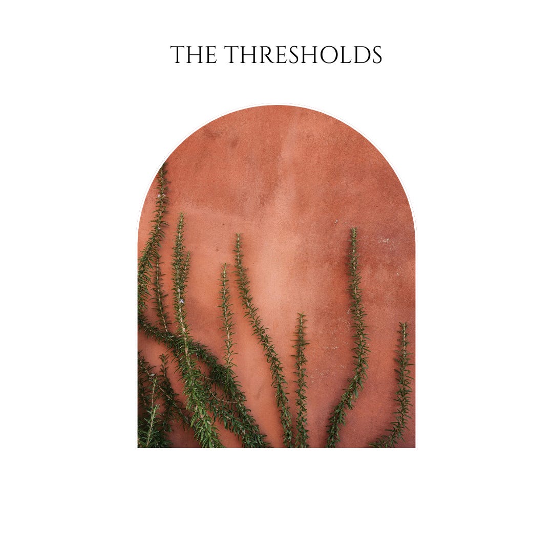 The Thresholds 