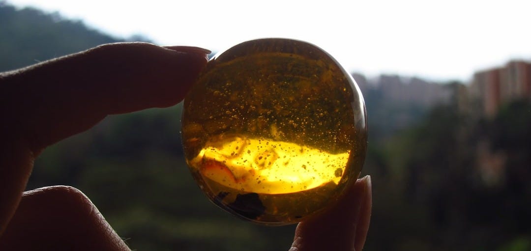 person holding gold round ornament
