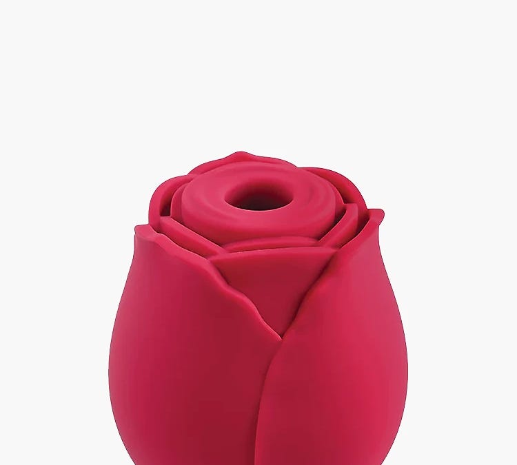 the temu rose toy (& other things you probably shouldn't let near ur vagina)