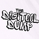 The DigiTool Dump