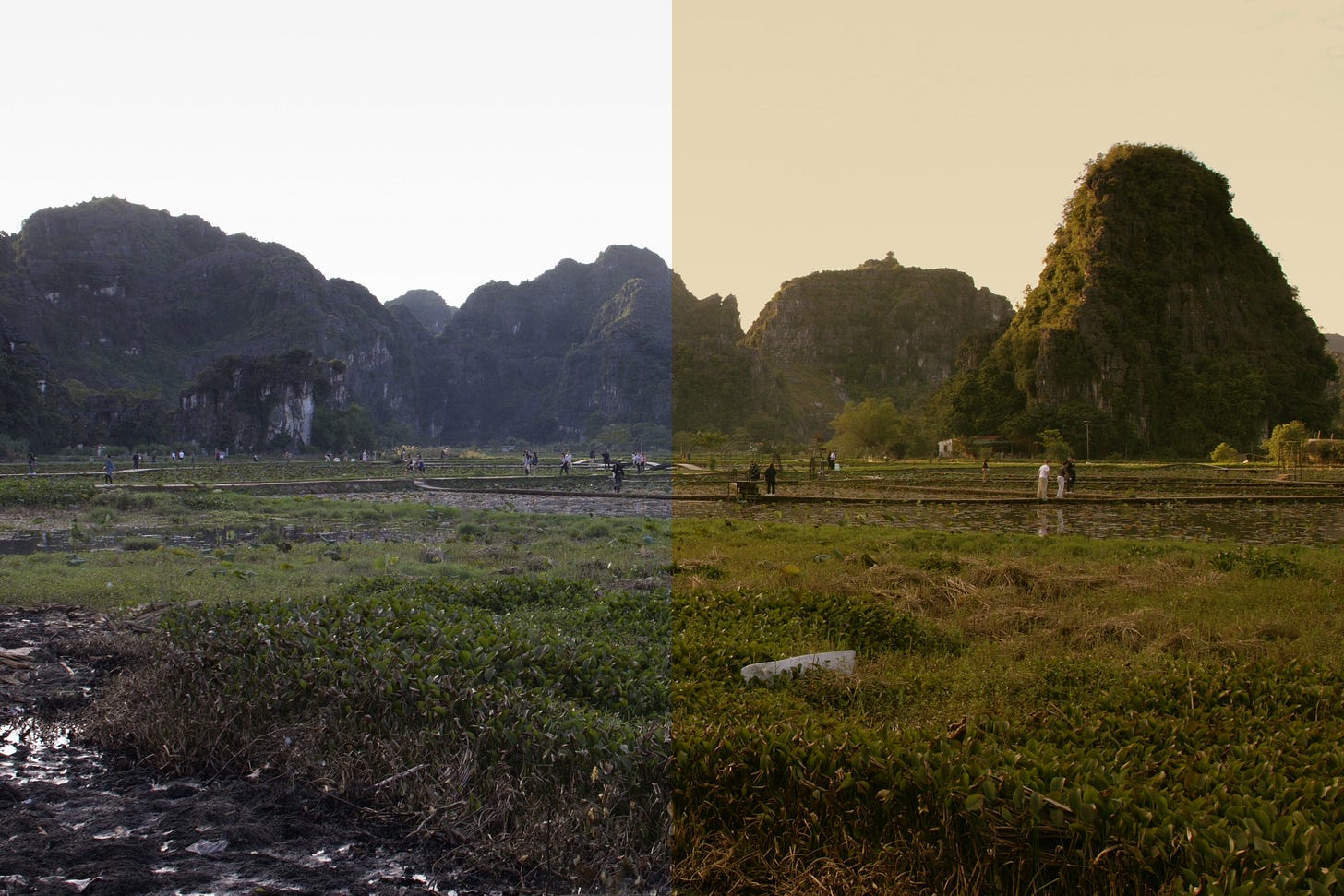 Split-frame comparison of a rice paddy valley in Tam Coc, Vietnam: the left half shows the scene in flat, hazy, desaturated color; the right half shows the same limestone karst mountains and fields lit with warm golden-hour light and richer greens.