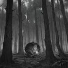 Let the Wise Mourn 