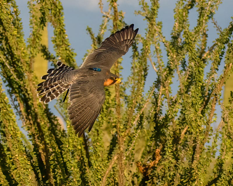 20261018-misc-716-Edit 2.jpg