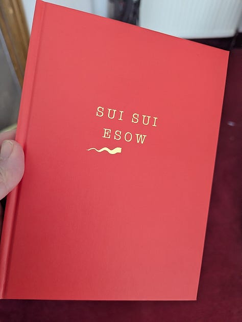 Three images of Sui Sui by Esow — a red hardcover book with gold lettering, an open spread featuring bold graffiti-style lettering and illustrated characters, and a drawing of a seated figure with an exaggerated face, crying while holding a drink at a table.