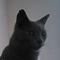 Brian John Mitchell's avatar