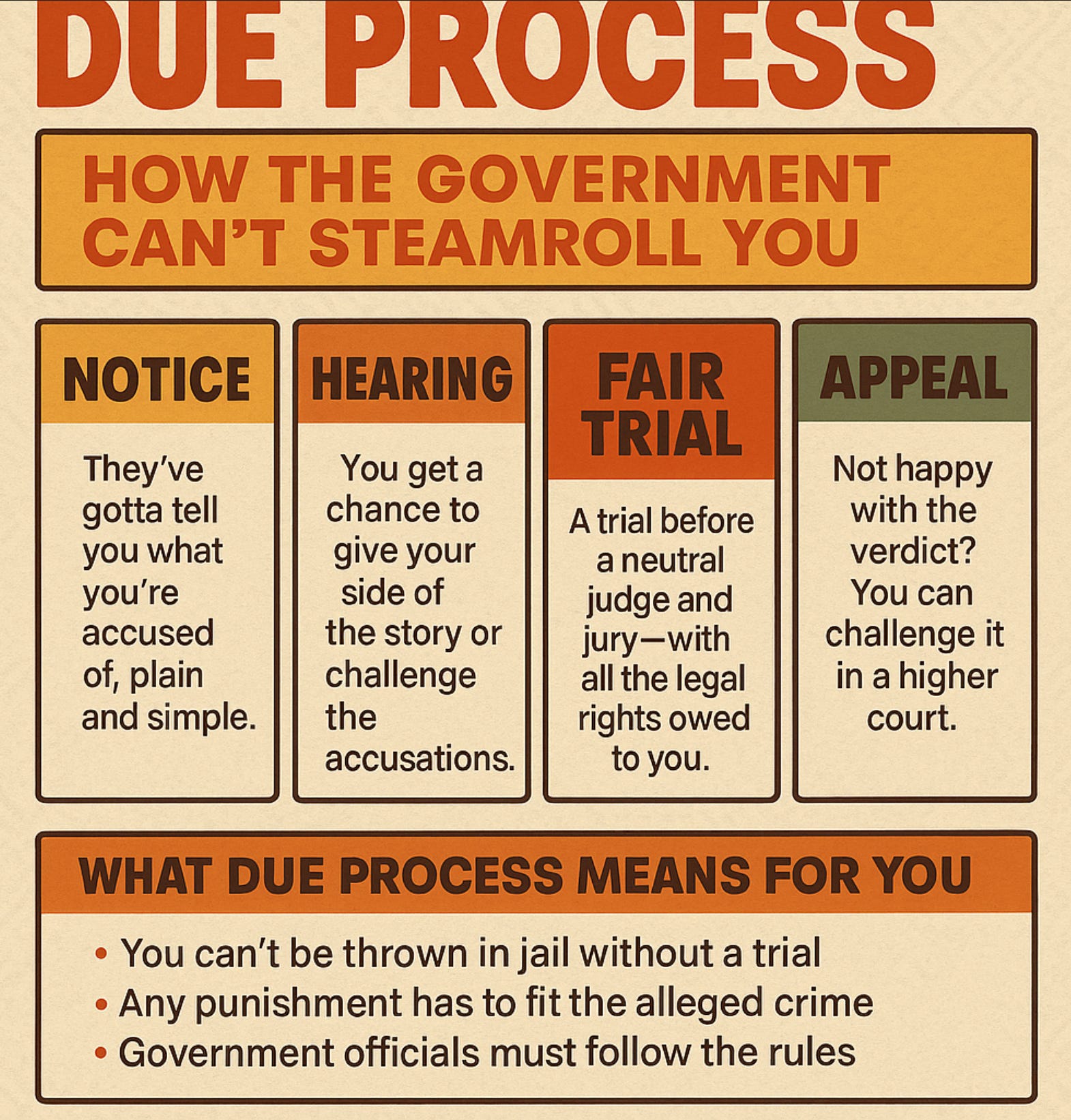 Due Process Crash Course Infographic: Due Process - the sunny apocalypse substack