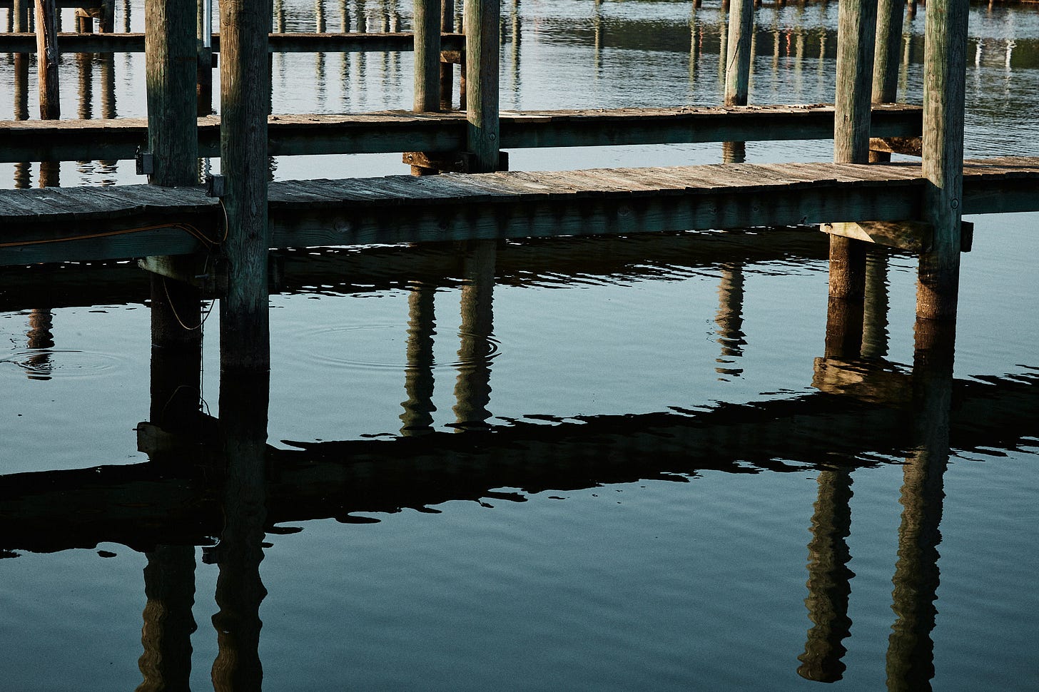 Canon 24-105L Portra 160 pushed