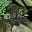 frogsmore's avatar