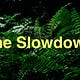 The Slowdown