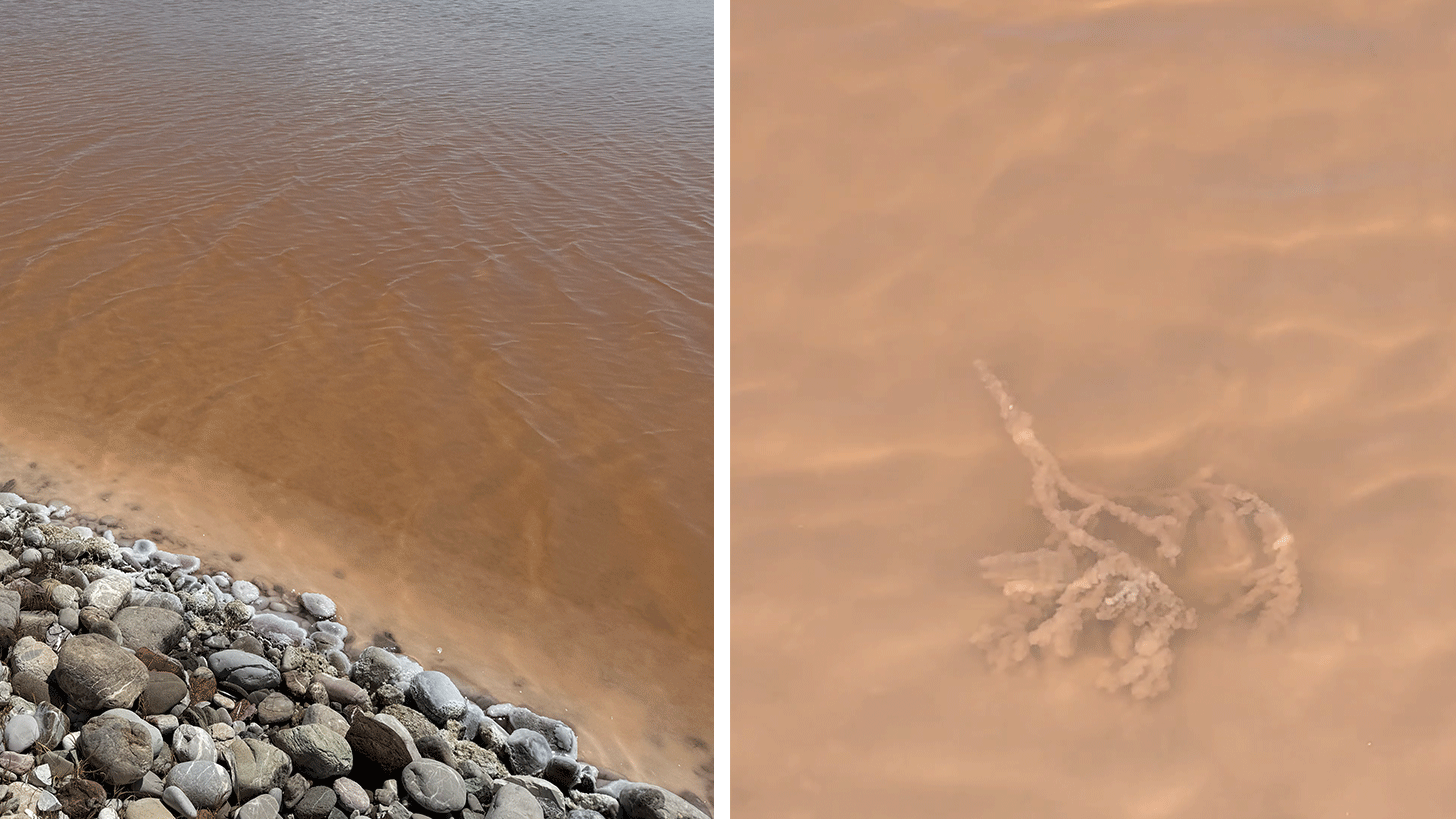 stones alone the edge of the pink water salt ponds