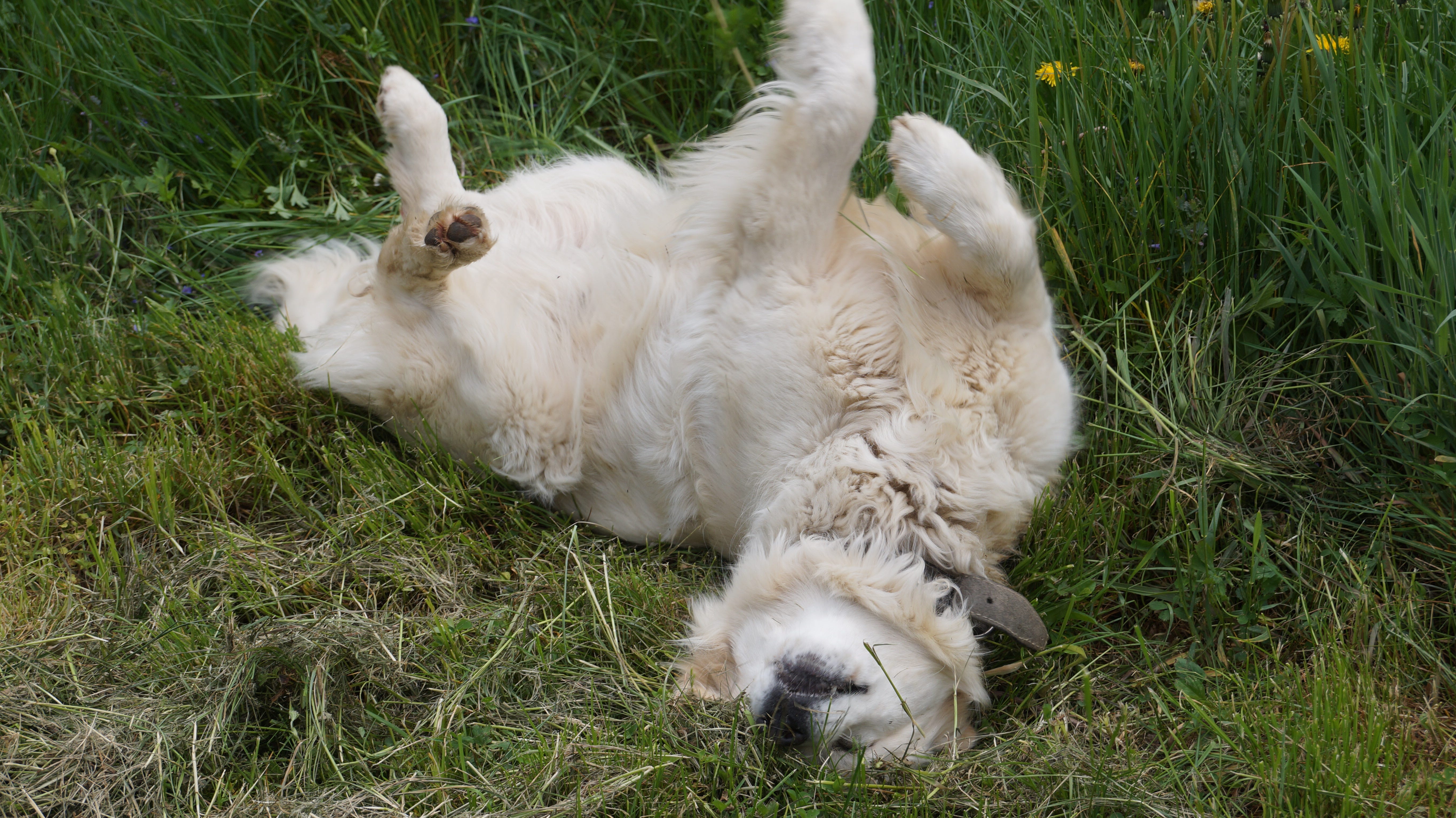 Tempo que sobra e falta