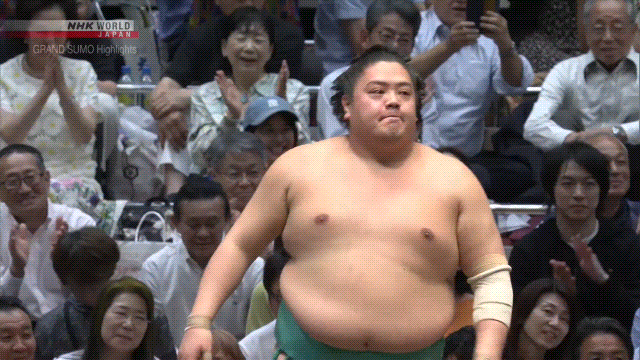 Sumo Stomp! | Tim Edwards | Substack