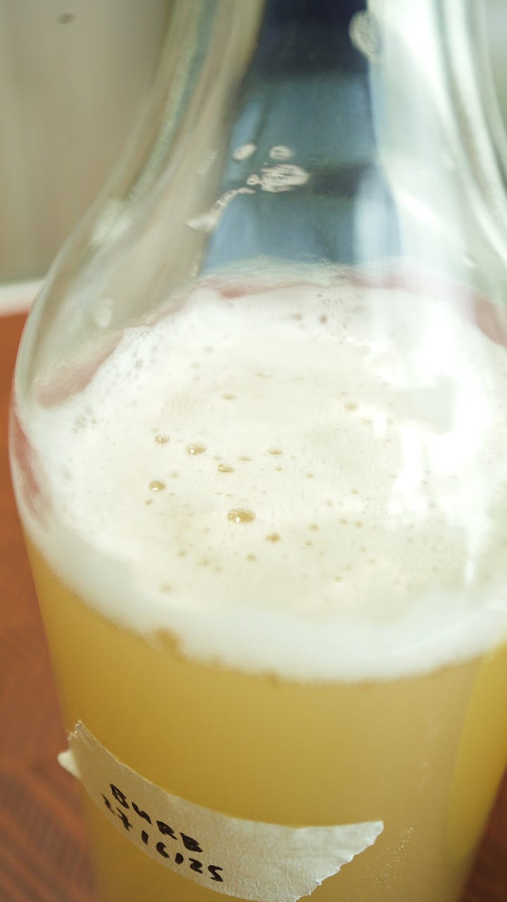 carbonated ginger beer