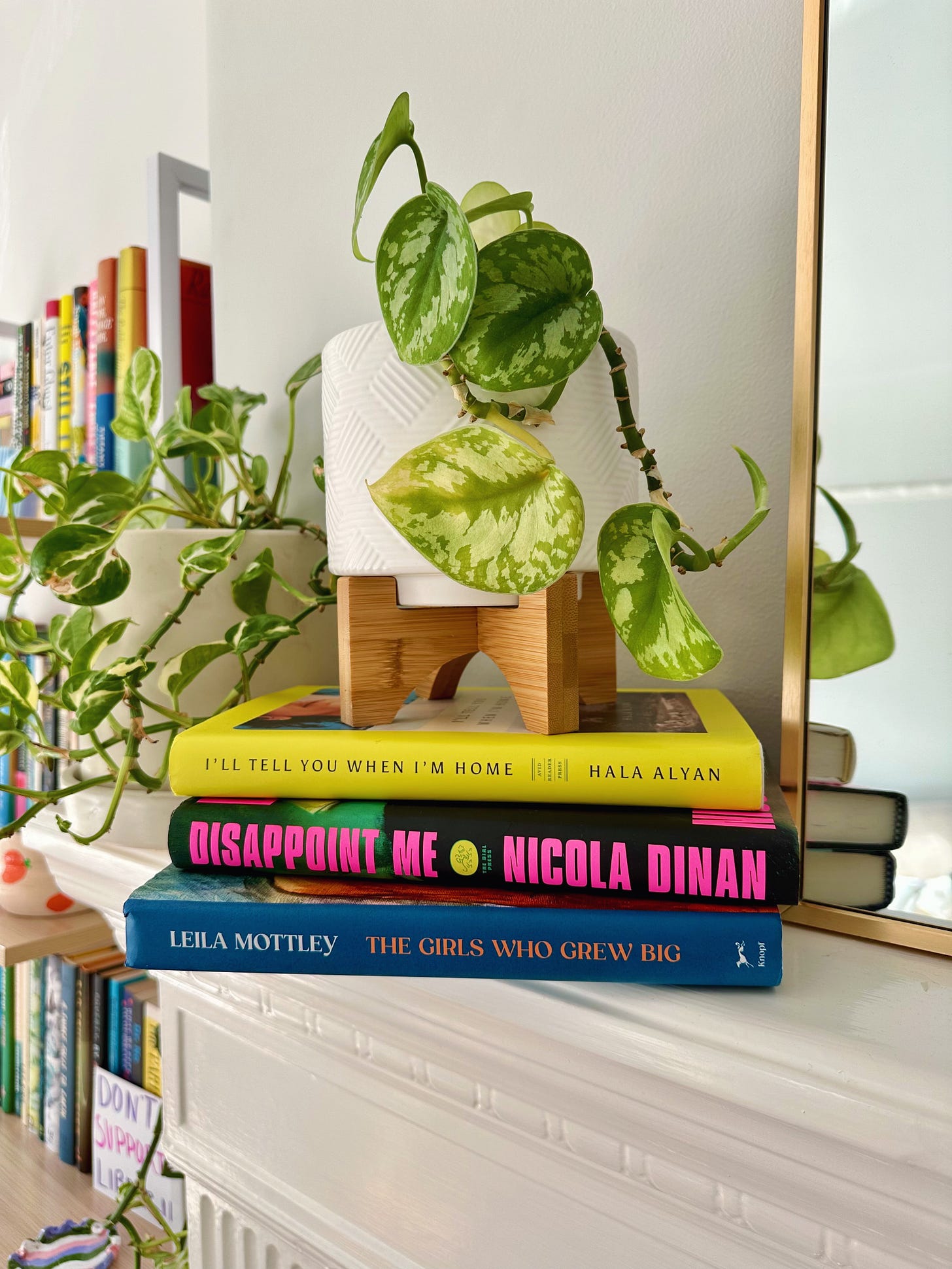 A green plant on top of three books stacked: I'll Tell You When I'm Home, Disappoint Me, and The Girls Who Grew Big