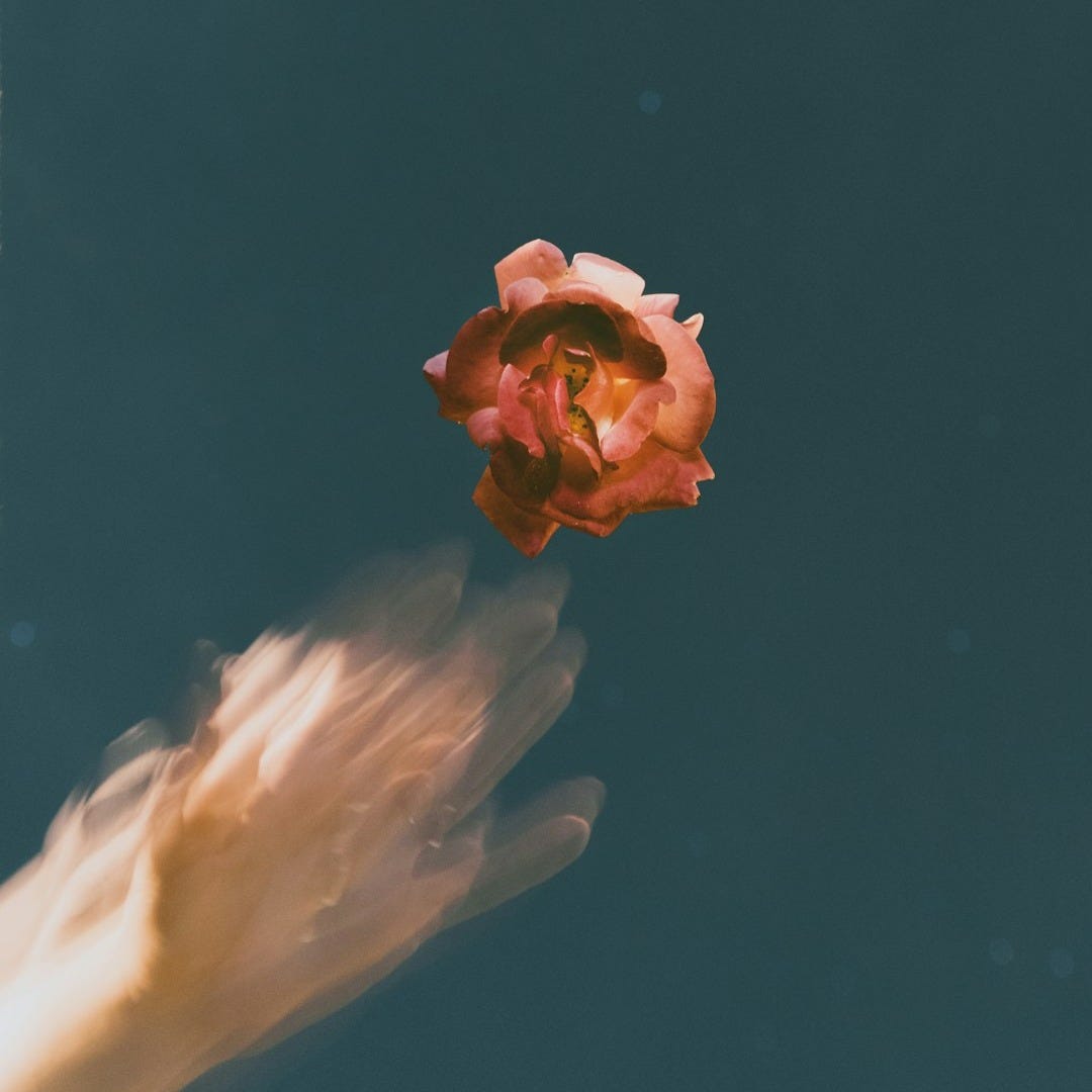 red flower on body of water with human hand reflection