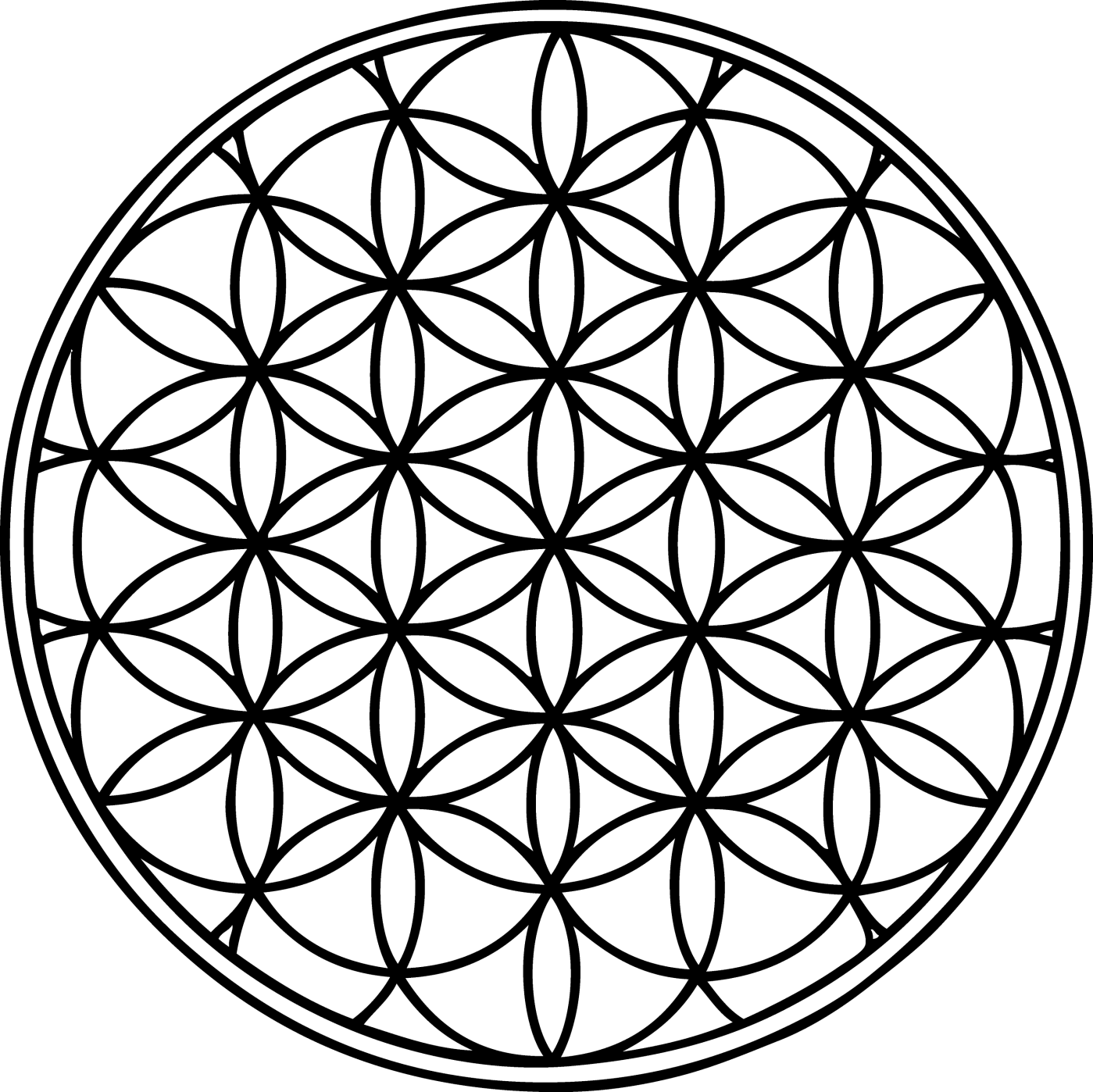 Flower of life – holisticlife
