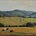 By Green Pastures