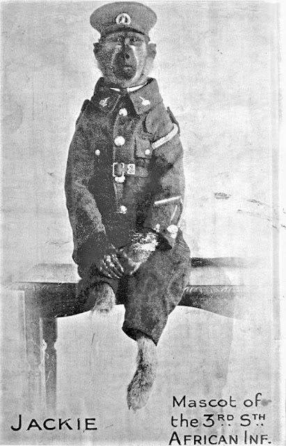A person in a uniform

Description automatically generated with low confidence