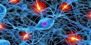 Neurochemistry | | Content Tag