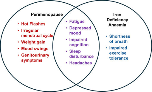 Addressing the perimenopause: what's blood got to do with it? -  ScienceDirect