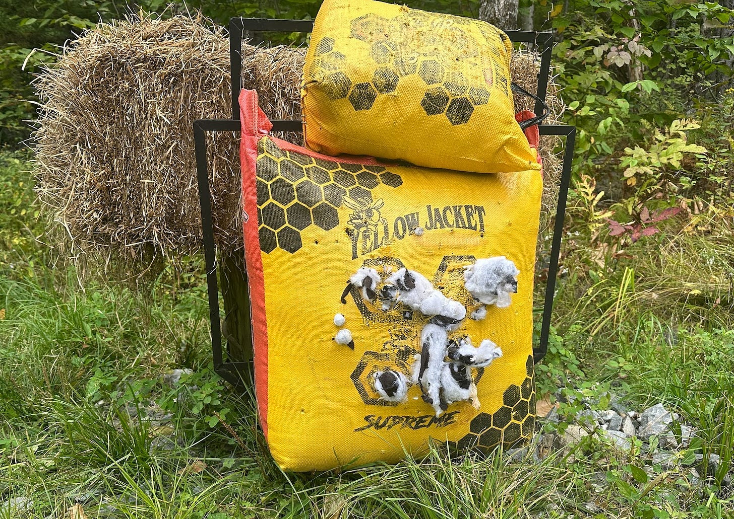 Shredded crossbow target in the backyard.