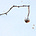 Haiku Pause's avatar