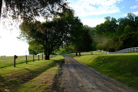 Shots from our Virginia road trip!