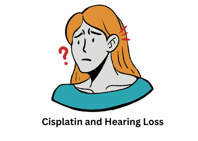 Studies on cancer drug cisplatin and hearing loss