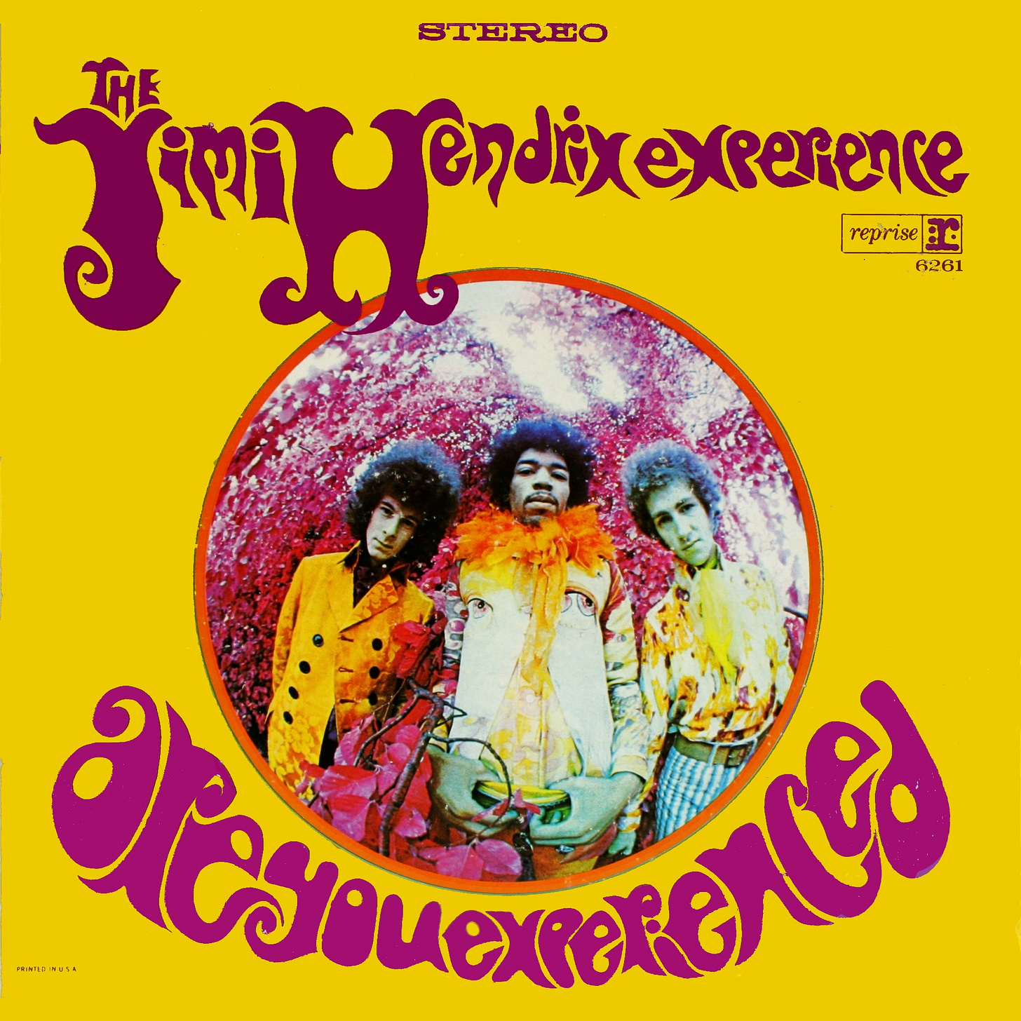 Are You Experienced? Are You Experienced?