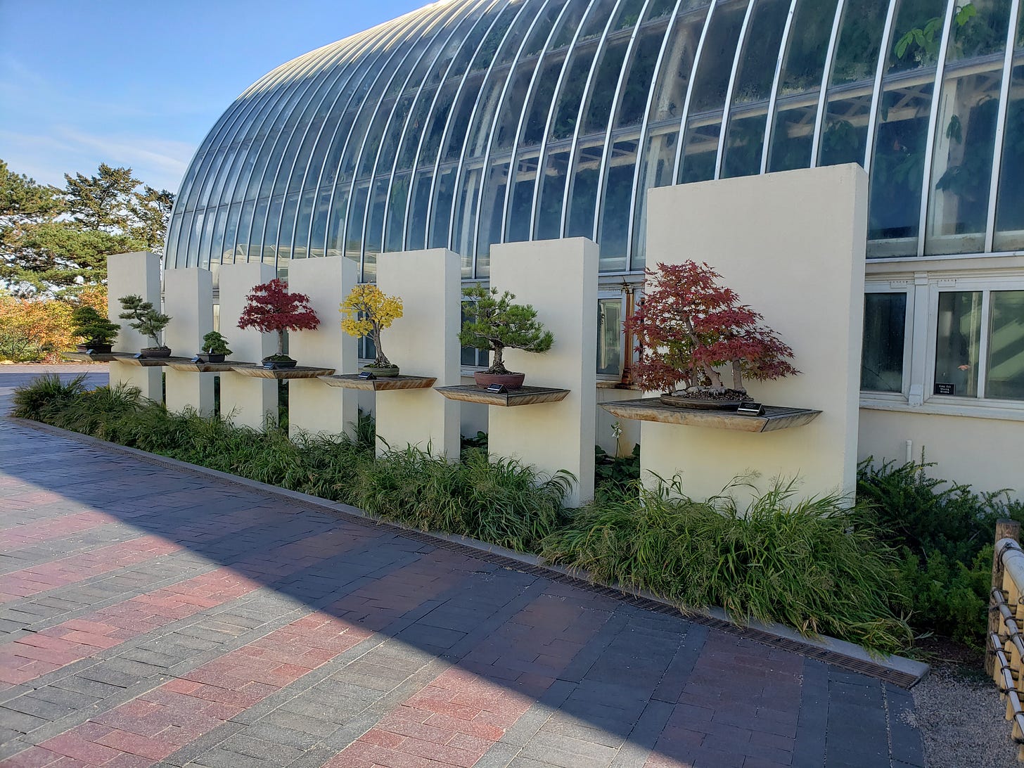 The other side of the pavilion with seven Bonsai trees. Four are green. Two are red. One is yellow. The other side of the pavilion with seven Bonsai trees. Four are green. Two are red. One is yellow.