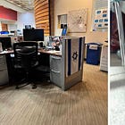 Meet Bari Weiss’s Israel Flag-Waving News Correspondent