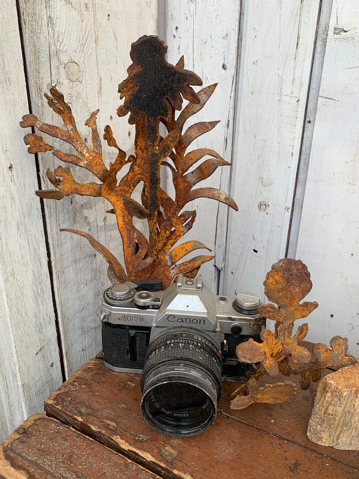 A variety of metal sculptures made from found objects, incorporating rust as a decorative patina.