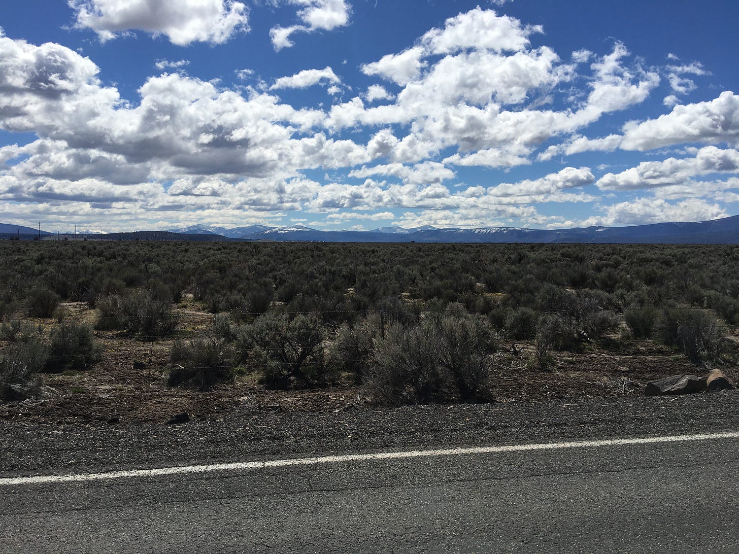 Photograph taken by me that has a field of sagebrush stretching out towards mountains in the distance. fluffy white clouds are scattered across a bright blue sky