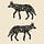 A. Coyote