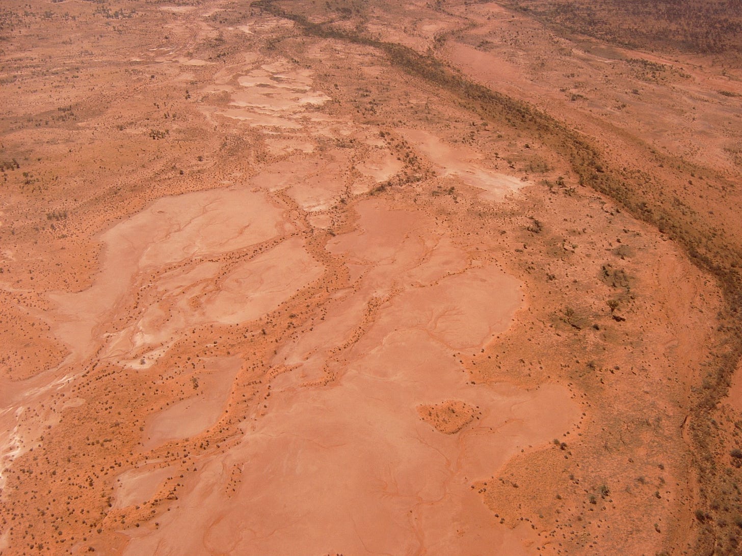 A view from a helicopter showing bare reddish earth with dry watercourses and plants growing in the watercourses
