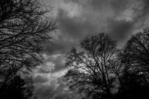 Day 46 Grey Days – Mary Anne Morgan Blog