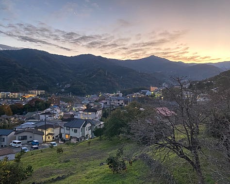 Images of the mountains, the beach, the roads, the people, and the animals of Yugawara.